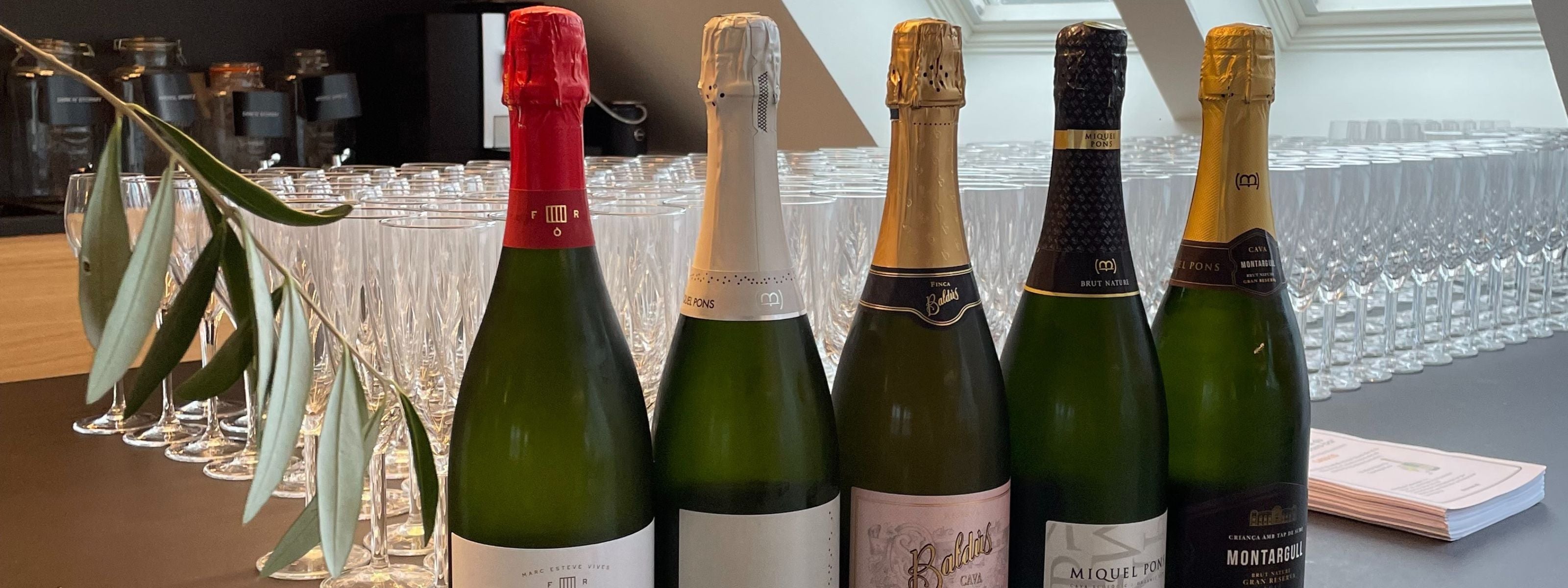 Bedste cava i test - 5 yderst velsmagende bobler fra Spanien