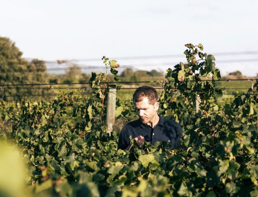 I kælderen med Marc Estéve