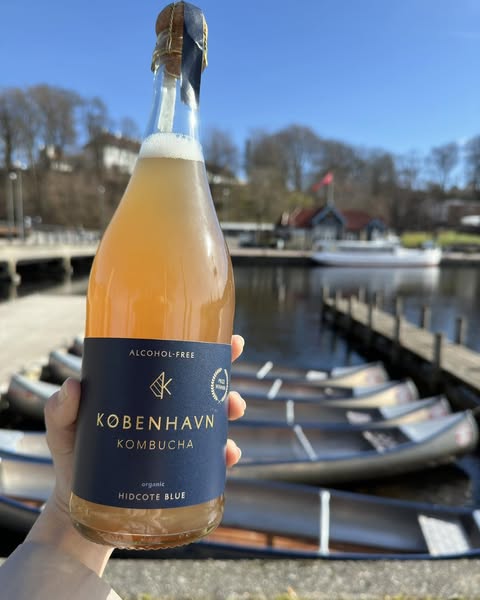 København Kombucha - Hidcote Blue