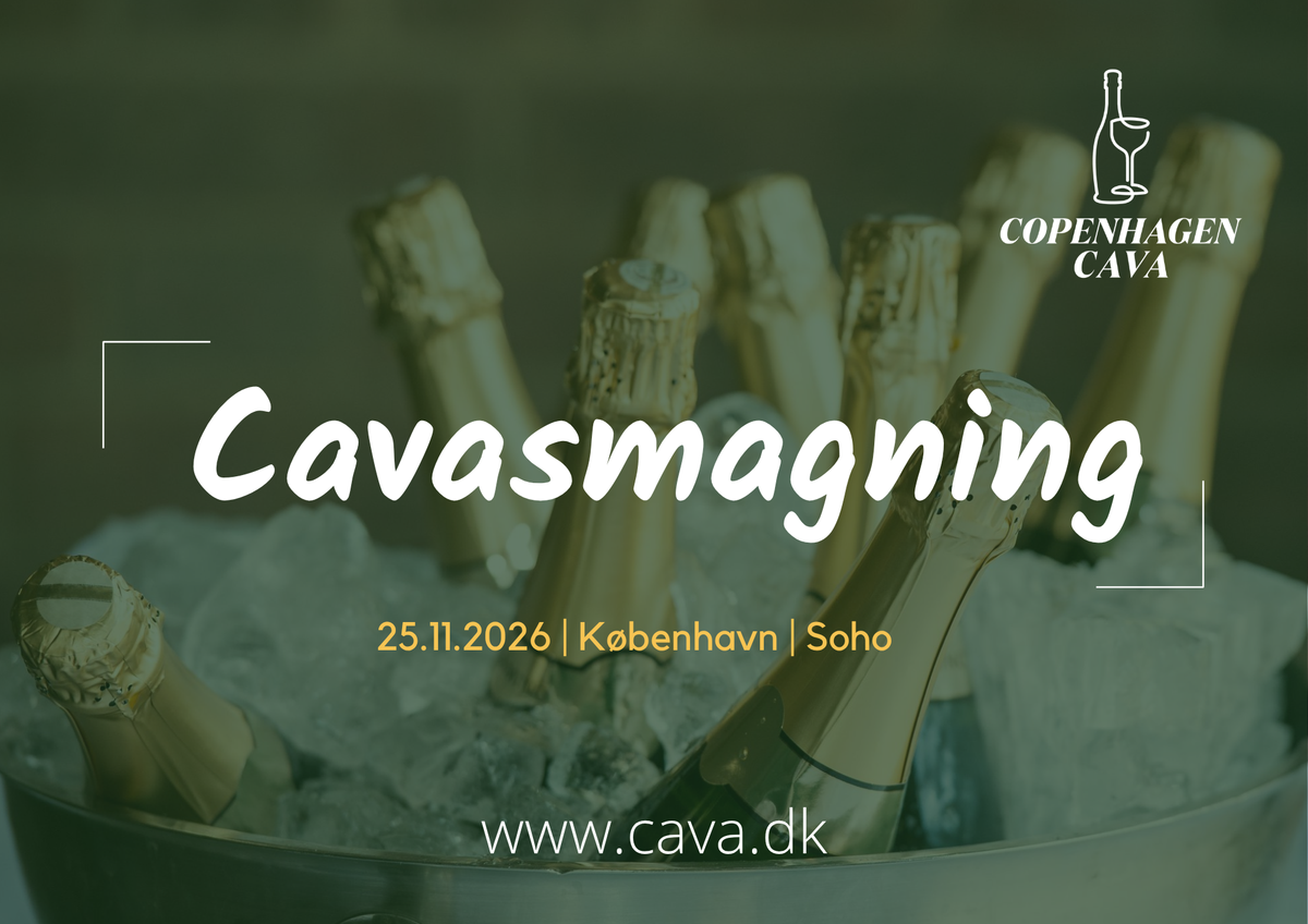 Cava tasting 