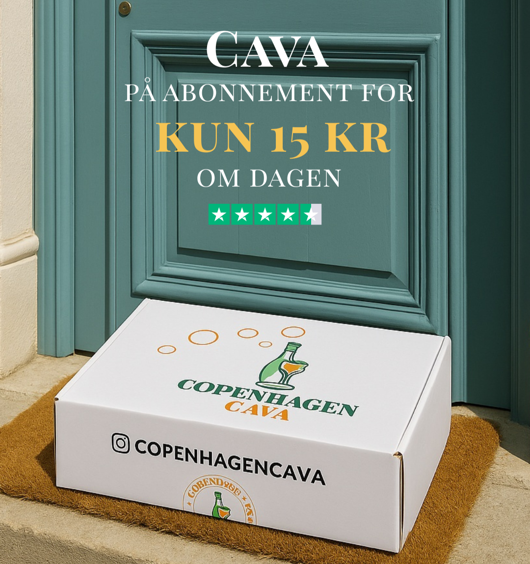 Cavakassen